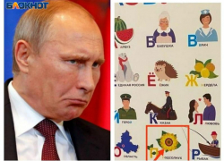 «Так Путина ещё не называли»: таганрожцы в ужасе от азбуки дончанина, которую распиарили единороссы