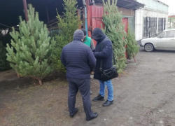 Таганрог на втором месте в области по нелегальной торговле 