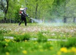 В Таганроге продолжается дезинфекция территорий