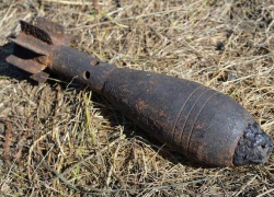 Рядом с Таганрогом при выпасе животных были найдены три 80 мм мины