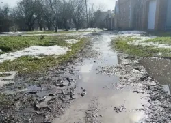 "Куда ты, тропинка, меня завела": таганроженка показала болото вместо тротуаров на Северном