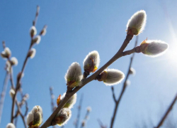 Погодная рулетка: жителям Таганрога пообещали до +15° градусов, но есть нюанс