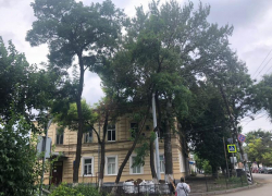  «В любой момент могут свалиться на голову», - таганроженка просит спилить старые деревья