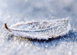 На выходных может появиться снег. Прогноз погоды для таганрожцев