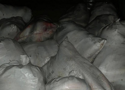 Наловил на 3,5 млн: под Таганрогом снова задержан браконьер