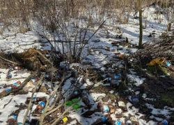 Посадка в Таганроге тонет в мусоре пока власти ищут деньги на уборку