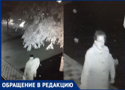 Таганрожцы прислали фото и видео «стахановцев», которые воруют решетки ливневок и выкапывают цветы