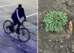 В Таганроге воришка решил заранее готовиться к Новому Году