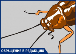 Жители многоквартирного жилого комплекса борются с тараканами