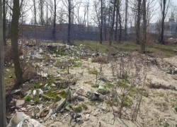 Территория вокруг Гринвич Парка выглядит как  дикое захолустье 