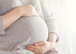 Прокуратура Неклиновского района защитила права беременной женщины