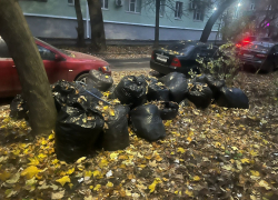 Как таганрожцам избавиться от растительных свалок: Экотранс разъясняет