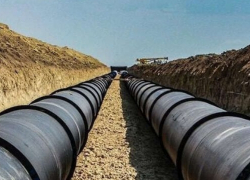 Строительный подрядчик выбрал сохранить природу под Таганрогом, несмотря на большие деньги