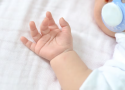 В Таганроге в многодетной семье появился на свет 11-й ребёнок 