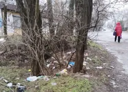 "Нигде такой красоты не сыскать", - таганроженка поделилась неприглядными видами города