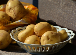 Цена на картошку в Таганроге взметнётся зимой? Ответила глава Минсельхоза 