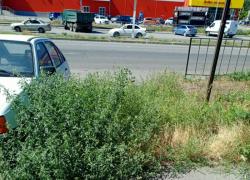 Администрация Таганрога пообещала покосить траву на улице Сызранова до конца месяца после публикации в Блокноте