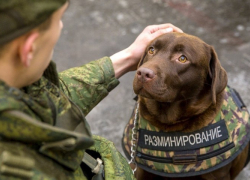 В Таганроге "заминировали" Сбербанк