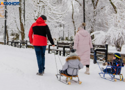 Местных родителей просят обеспечить детям безопасные новогодние каникулы