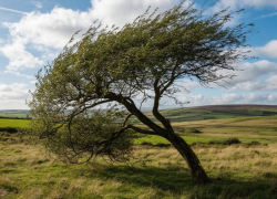 Сегодня нельзя идти против ветра: советы таганрожцам на 21 августа