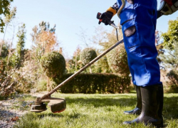 В Таганроге продолжается покос травы