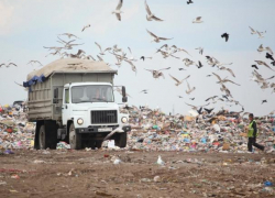 Мусорная реформа ударит по карману таганрожцев