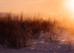 День зимнего солнцестояния и Анфисы Рукодельницы: приметы и советы для таганрожцев на 21 декабря