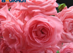 Таганрог: прогноз погоды на рабочую неделю с 18 по 22 сентября 