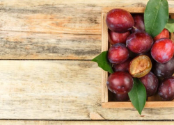 Будут ли этим летом ягоды и фрукты на таганрогских прилавках?