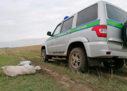 Под Таганрогом задержали браконьеров, которые оказывали сопротивление 
