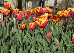 Какая погода ждет таганрожцев в эти выходные
