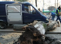 Сухое дерево в Таганроге рухнуло на машину: есть пострадавший