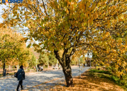 Ждать ли снега? О погоде в Таганроге на новую неделю
