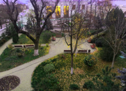 "Высадилили больше, чем срубили!" - итоги древонасажения Таганрога