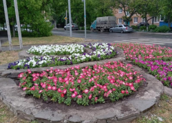 Таганрог в цвете: еще на двух улицах города высадили цветы