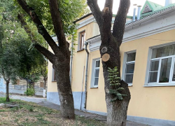 Таганроженка показала свой "туристический маршрут": мимо Дворца Александра, через помойки и заброшки
