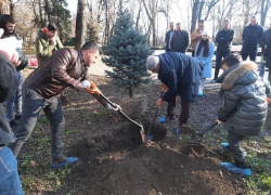 Связь поколений: «СТК-Таганрог» подарили парку культуры им. Горького новые деревья