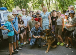 В Ростовской области за лето провели более 1000 профилактических работ по безопасности детей