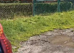 Пример многолетней стабильности в антиблагоустройстве показал таганрожец