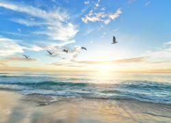 Пыльные бури и умеренная прохлада - майский прогноз погоды на Дону