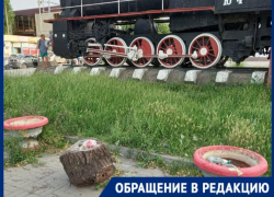 «Поросло травой место наших встреч…»: таганрожцы возмущены состоянием памятников