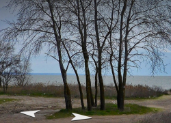 В Таганроге нашли «самую перспективную» территорию для туризма, но есть нюансы