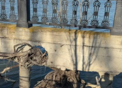 "Нельзя трогать вековую историю": таганроженка предположила, почему до сих пор не ремонтируют набережную