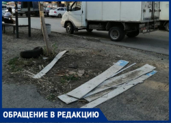Сибирячка пришла в шок от количества мусора на улицах Таганрога