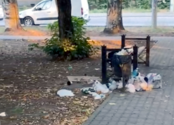 Заброшенных скверов в Таганроге так много, что путаемся даже мы 