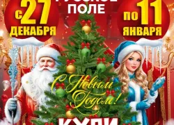 Рецепт ярких новогодних каникул