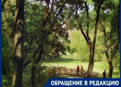 Таганроженка ищет добровольцев, которые помогут привести в порядок пруд в районе Дубки 