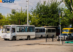 Таганрогские транспортные предприятия могут рассчитывать на поддержку