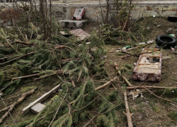 Свалка из невостребованных елок лежит в Таганроге с января