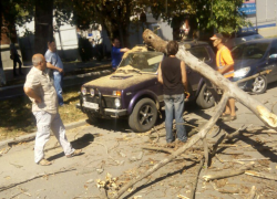 В Районе завода "Прибой" на автомобиль упала огромная ветка